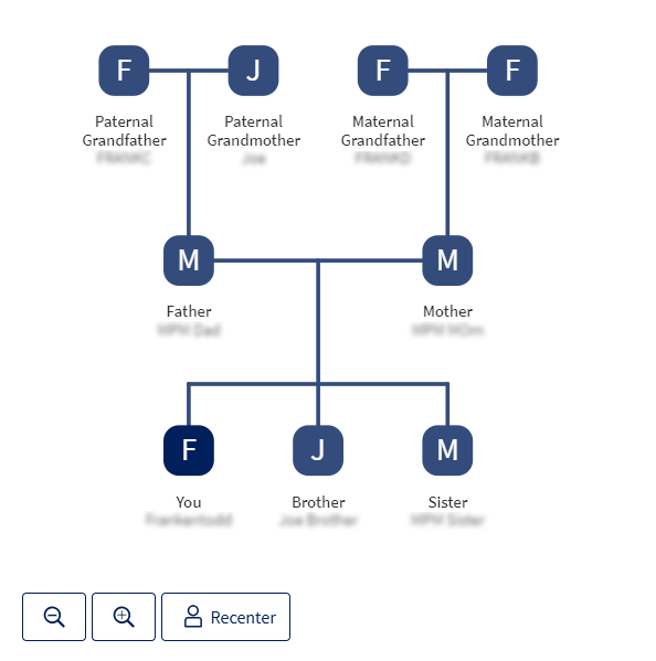 screen shot showing patient family tree